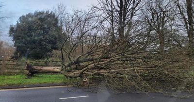 Road worker assaulted and 'pushed into ditch' during Storm Amy cleanup