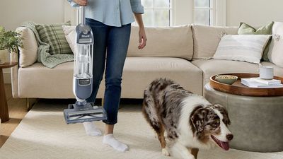 Shark’s most powerful cordless upright vacuum arrives in a lighter, portable package