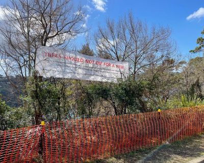 Stolen views, shipping containers and ‘shame signs’: do Australia’s tree wars need a new solution?