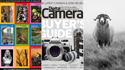 Your Digital Camera 300 download