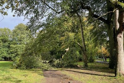 Around 17,000 homes still without power after Storm Amy