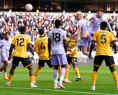 Van Hecke saves point for Brighton after Verbruggen’s own goal against Wolves