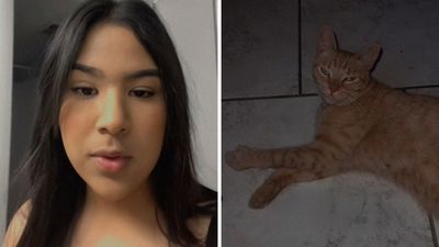 “Getting a ‘hey girly’ dm over your cat is diabolical”: Texas woman’s cat wanders outside every night. Then he returns with a note