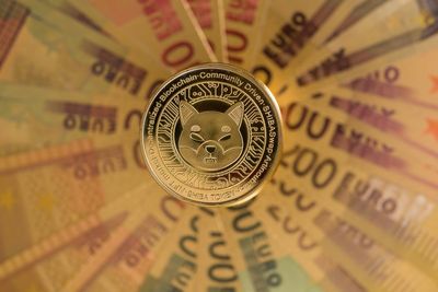 Shiba Inu Burn Skyrockets 2,033%, 5.7 Million SHIB Sent to Dead Wallets