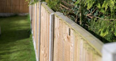 See whether or not your neighbour has to pay for half of the fence