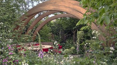 Think before you prune in October – here are 7 plants you should never cut until spring