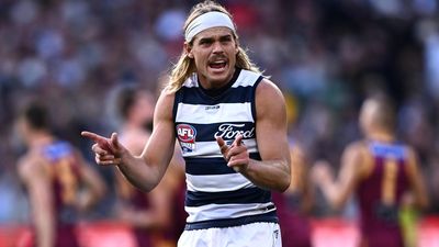 Cats confident in management of star midfielder