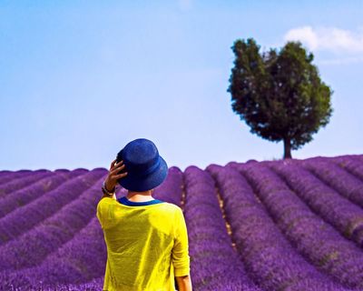 Holiday horrors: Airbnb and Booking.com users battle for refunds as stays go wrong