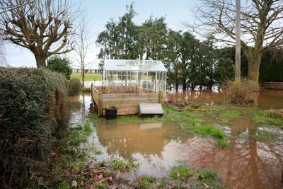 Expert tips for flood-proofing your garden this winter