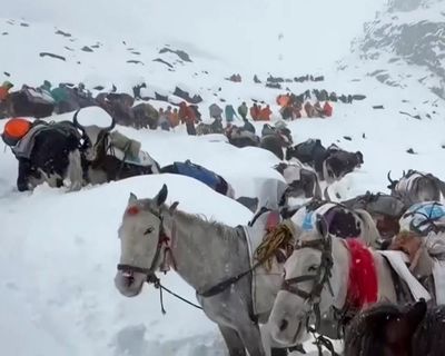 Mount Everest hikers describe ‘extreme’ conditions as huge rescue effort continues