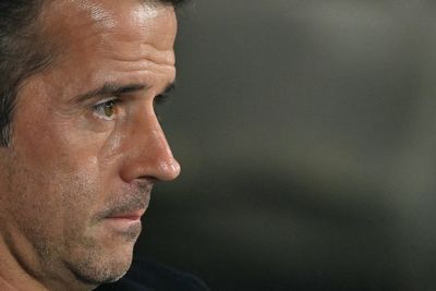 Fulham: Marco Silva left to rue summer transfer struggles as injury crisis deepens