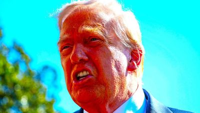 ‘This is a nation of Constitutional law, not martial law’: Trump-appointed judge slams brakes on Portland invasion, Trump impotently rages