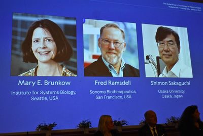 Nobel medicine prize awarded to scientists for immune system discovery