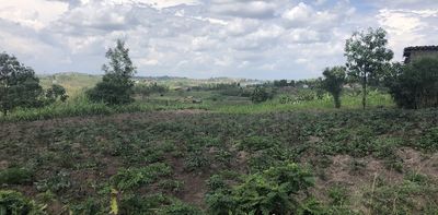 How to conduct post-atrocity research – key insights from practitioners in the field