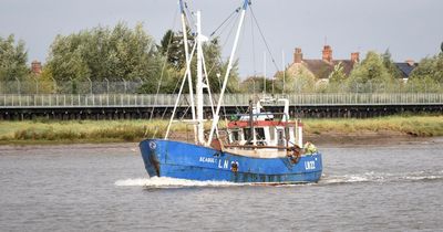 'Fleet-ending madness': Outrage over 'zero catch' North Sea cod quotas