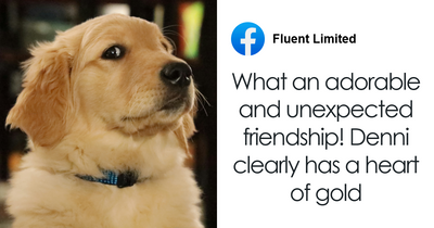 Guy Hears His Dog Barking In The Yard, Blown Away By What He Discovers When He Checks Things Out