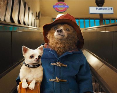 ‘Laugh, muchachos’: Spitting Image studio sued after Paddington Bear episode