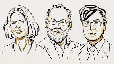 Nobel Prize in medicine goes to trio for their work on immune tolerance