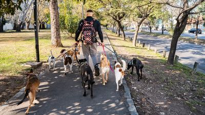 6 Side Hustles That Are Thriving Under Trump’s Economy: Here’s How You Can Get Started Now