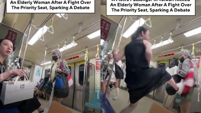 Woman sends 73-year-old flying with a kung-fu kick over a seat. But the arrest is a total plot twist.