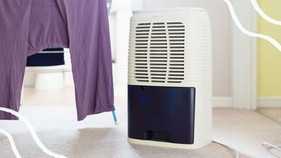 How does a dehumidifier work and what are the benefits of owning one?