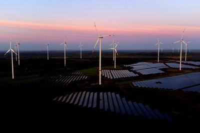 Solar and wind power has grown faster than electricity demand this year, report says