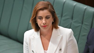 Heat dialled up on minister over triple-zero outages