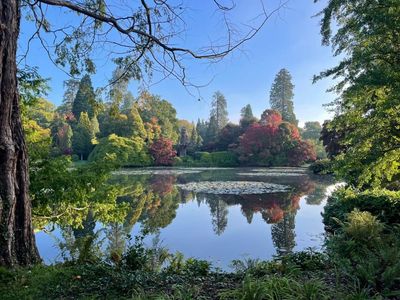 ‘Fiery and spectacular’ rainbow of autumn colour set to bloom across UK
