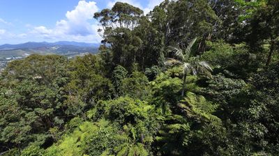 Climate trigger ruled out of nature law reforms