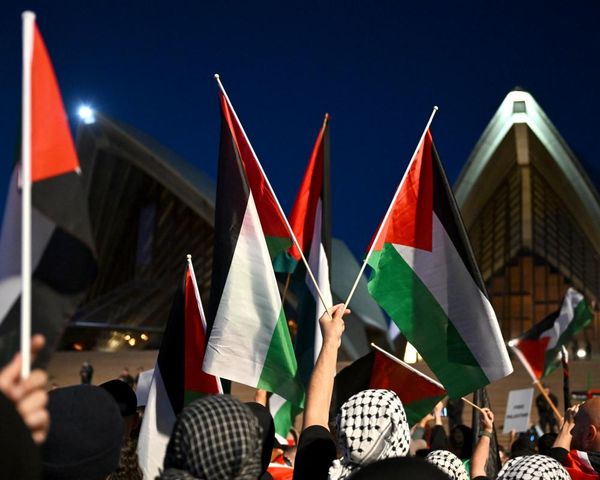 Pro-Palestine activists ask court to make genocide ruling during battle over Sydney Opera House protest