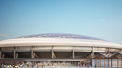 'Irresponsible' to back stadium: MP ahead of key vote