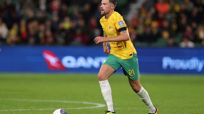 Knocking Ange out of Cup just part of Socceroo's ride