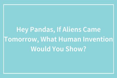 Hey Pandas, If Aliens Came Tomorrow, What Human Invention Would You Show?