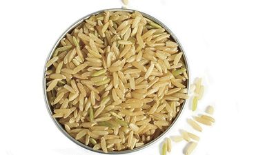 Is basmati rice Indian or Pakistani? Do not ask the European Commission
