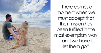 Theo The Golden Retriever Touched Thousands Of Lives Before His Peaceful Farewell