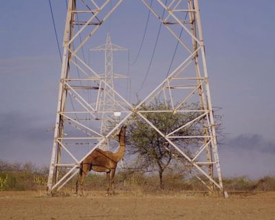 Under the Open Sky review – camels and turbines in absorbing portrait of a threatened way of life