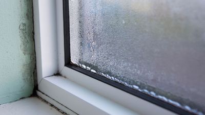 Experts reveal the hidden dangers of condensation — and tips to prevent them during colder months