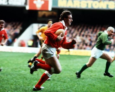 ‘The road not taken haunts me to this day’: David Bishop on a rugby career full of regret