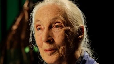 Jane Goodall on Donald Trump, Elon Musk and hope in Netflix’s new posthumous interview series