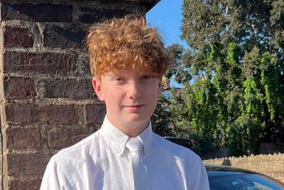 Teenager Harry Pitman 'stabbed in neck at New Year festivities on Primrose Hill'
