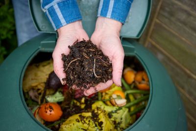 7 Composting Tricks That Only Work in Autumn