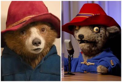 Paddington producers sue Spitting Image over foul-mouthed sketch depicting him as cocaine-using podcast host