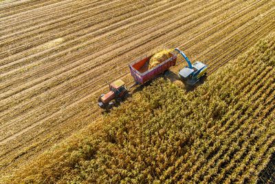 Trump to unveil farm bailout needed because his tariffs led China to stop buying American products
