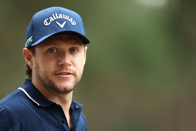 Niall Horan surprises London commuters as he casually hops on rush-hour train to Vauxhall