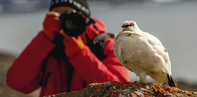 The remarkable rise of eBird – the world’s biggest citizen science project