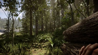 How to drop items in Sons of the Forest