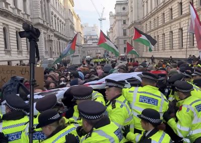 UK Police Arrest Hundreds in Pro-Palestine Protests as Amnesty Condemns 'Dangerous' Crackdown