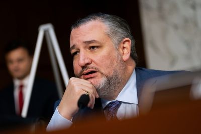 Cruz and Kennedy get weird in middle of Bondi’s testimony as they joke about a Backstreet Boys tattoo and stupidity