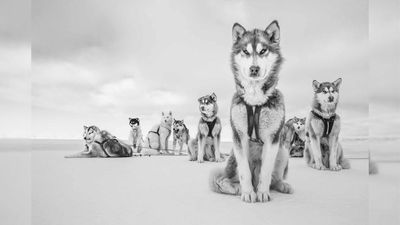 All wildlife photographers (and nature lovers) should study the amazing work of Cristina Mittermeier