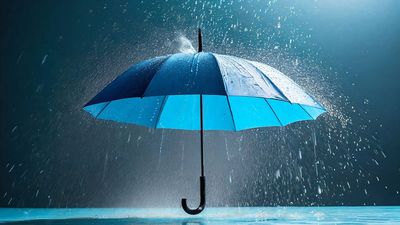 Dow Jones Futures Rise After Stocks Weather Oracle News, Tesla's Cheap Model Y